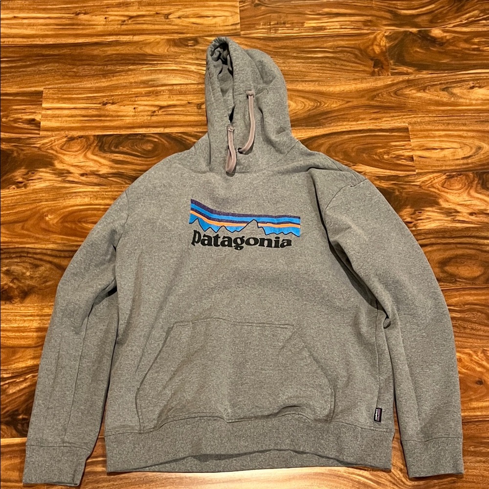 Men’s Patagonia gray hoodie size L